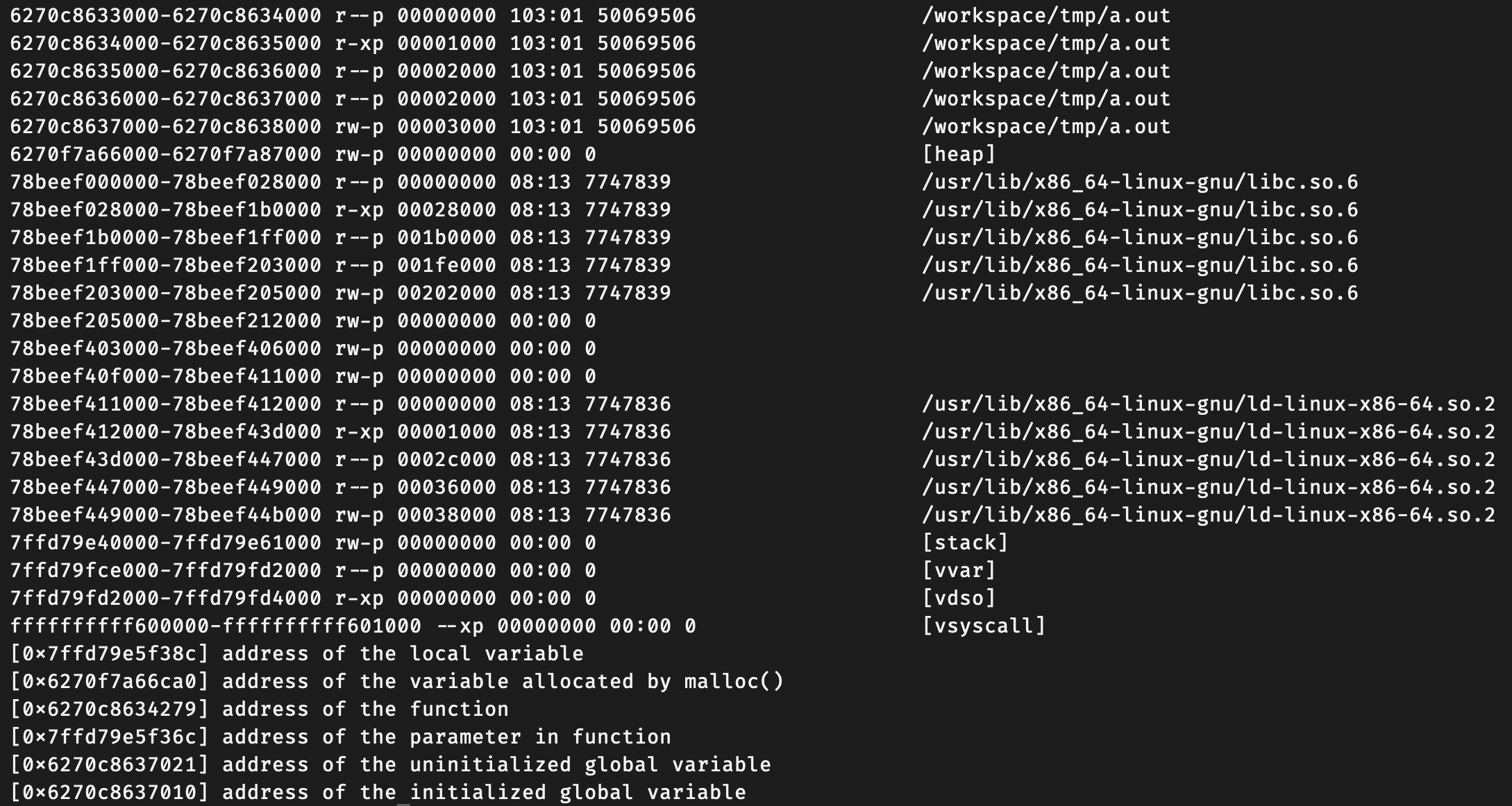 Terminal output showing /proc/self/maps followed by addresses of a local variable, malloc allocation, function, and globals